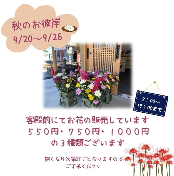 お花を販売